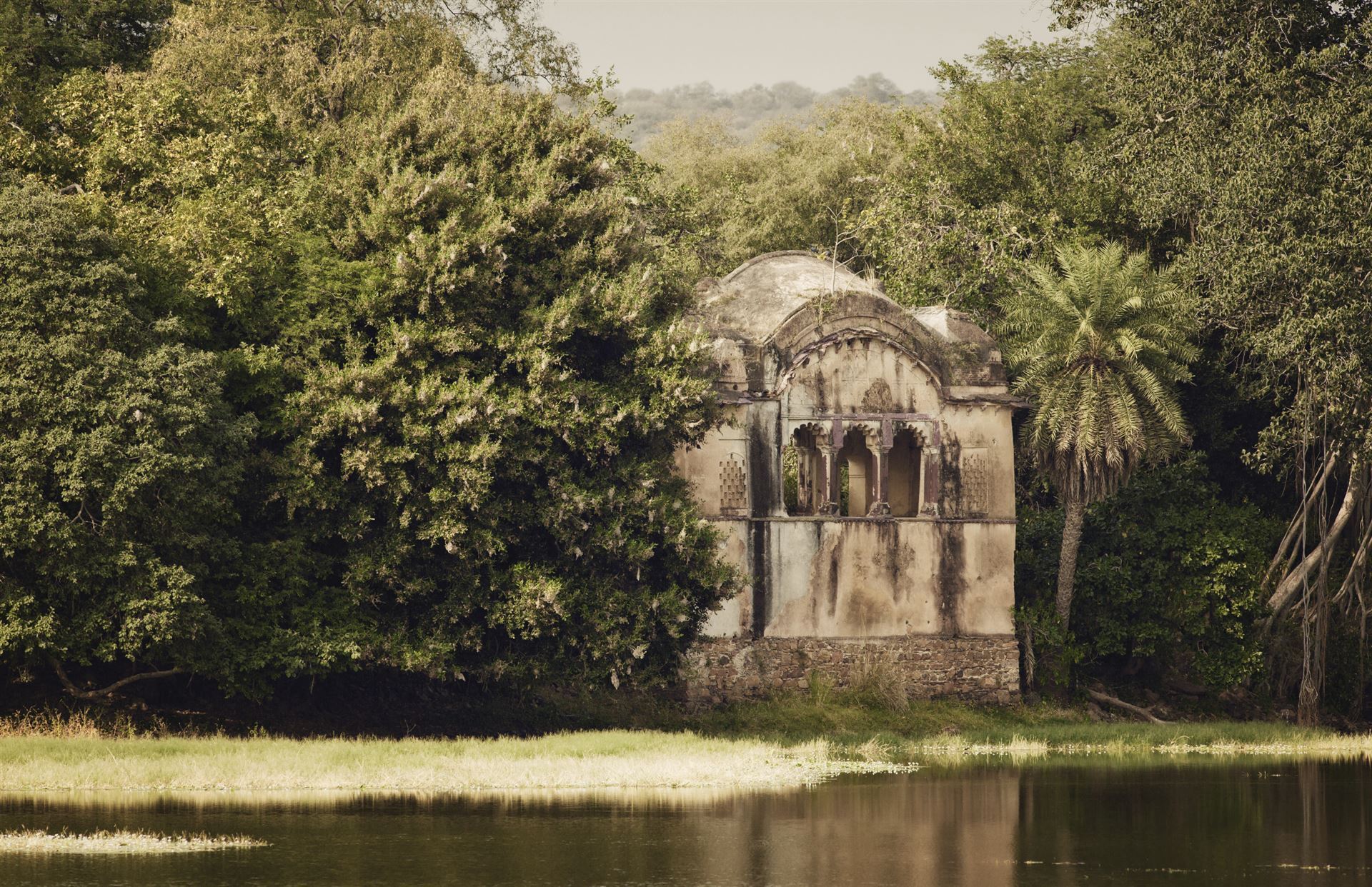Indien_Rajasthan_Ranthambore_Nationalpark