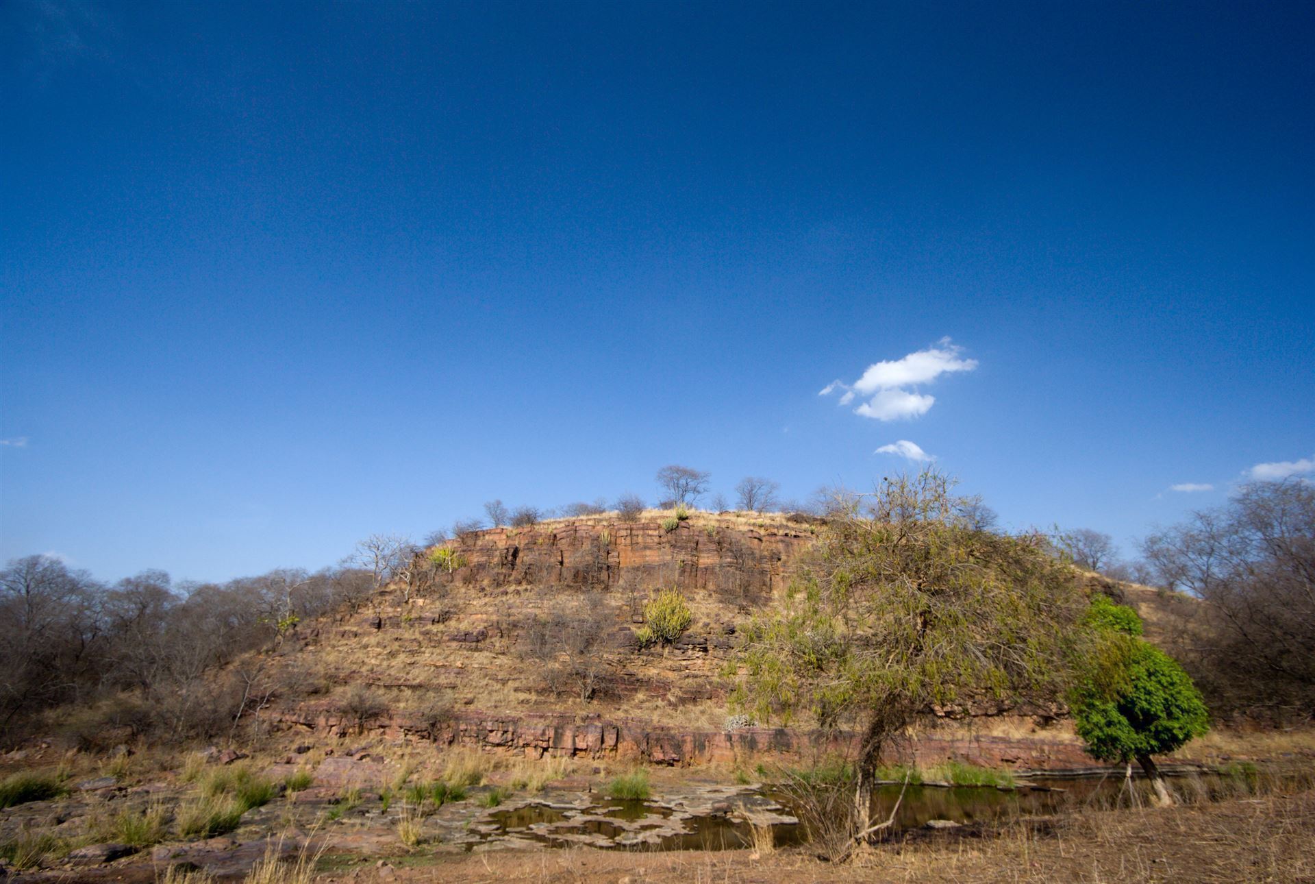 Landschaft im Ranthambore Nationalpark