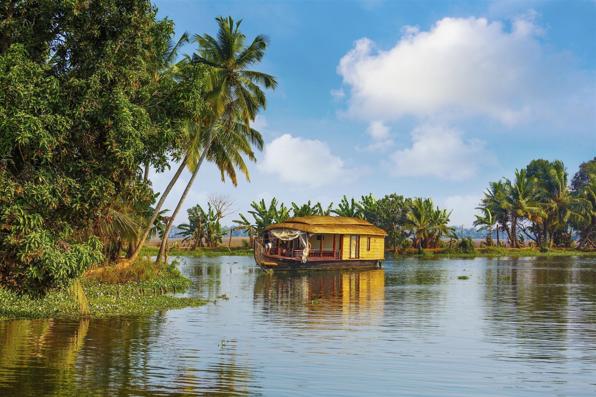 Impressionen der Backwaters
