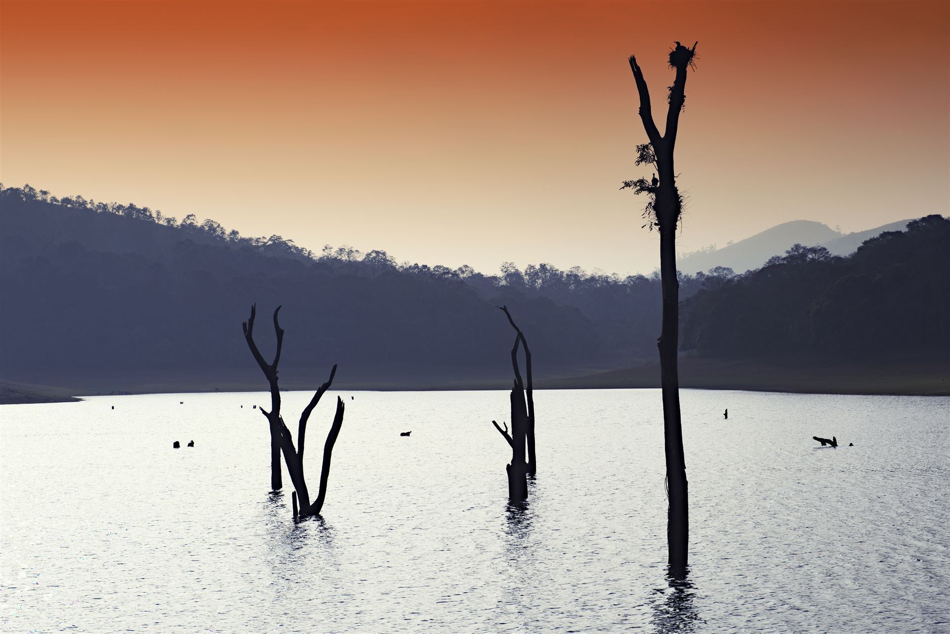 Sonnenuntergang im Periyar Nationalpark