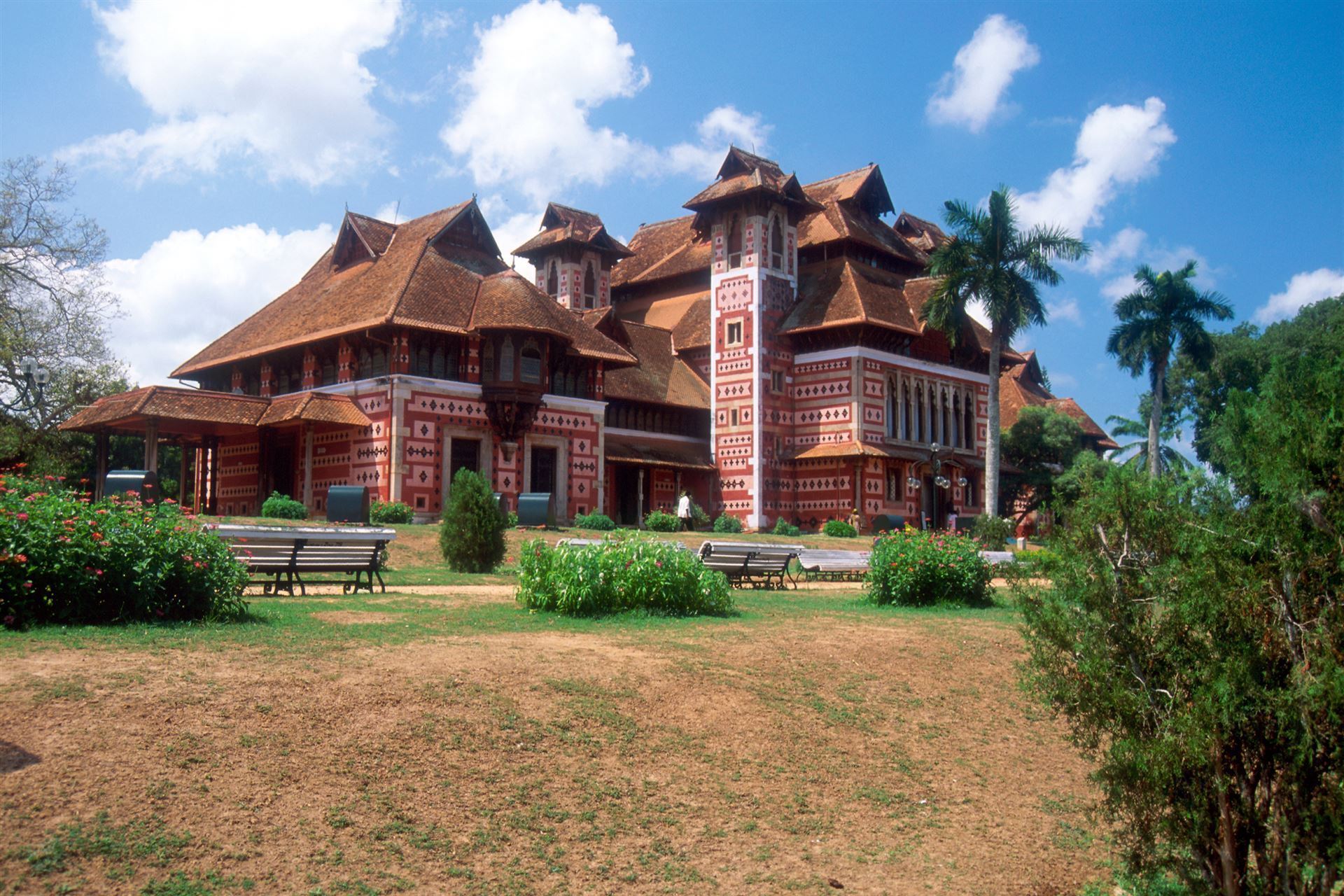 Napier Museum