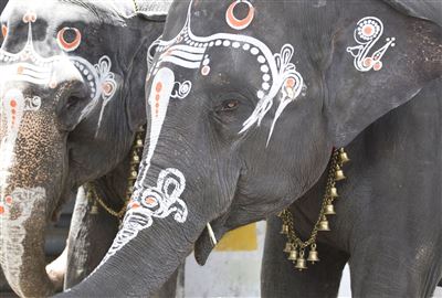 {image.media_title -> f:transform.html())} {image.copyright -> f:transform.html())}