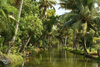 Backwaters