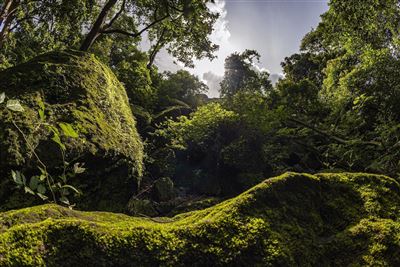 Sanjay-Gandhi-Nationalpark