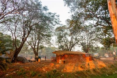 Shantiniketan - Backsteinhaus im Dschungel