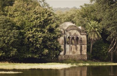 Indien_Rajasthan_Ranthambore_Nationalpark