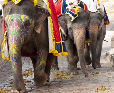 {image.media_title -> f:transform.html())} {image.copyright -> f:transform.html())}