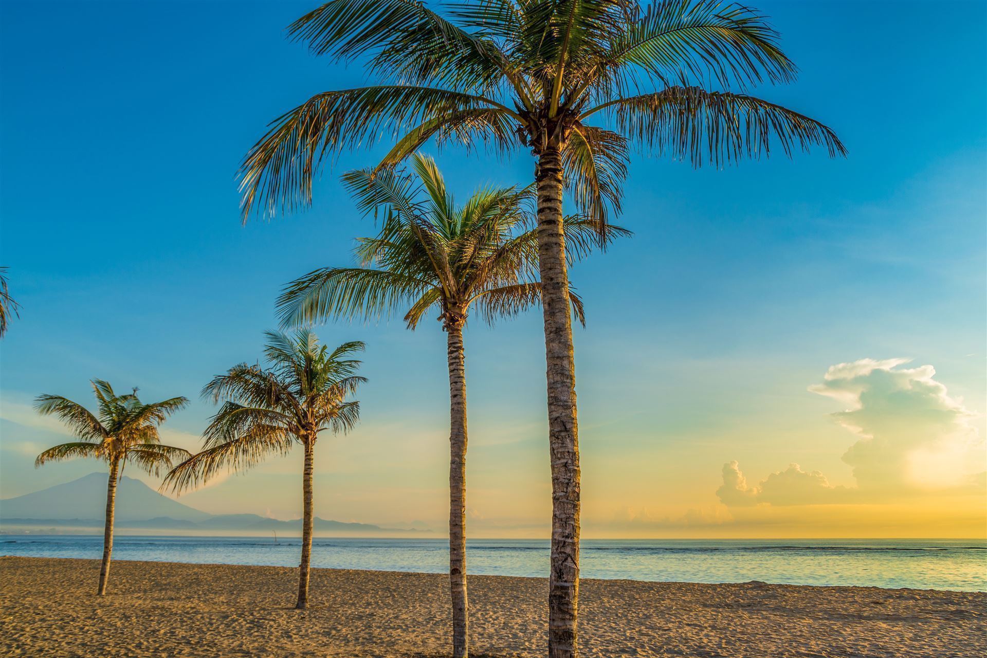 Strand mit Palmen