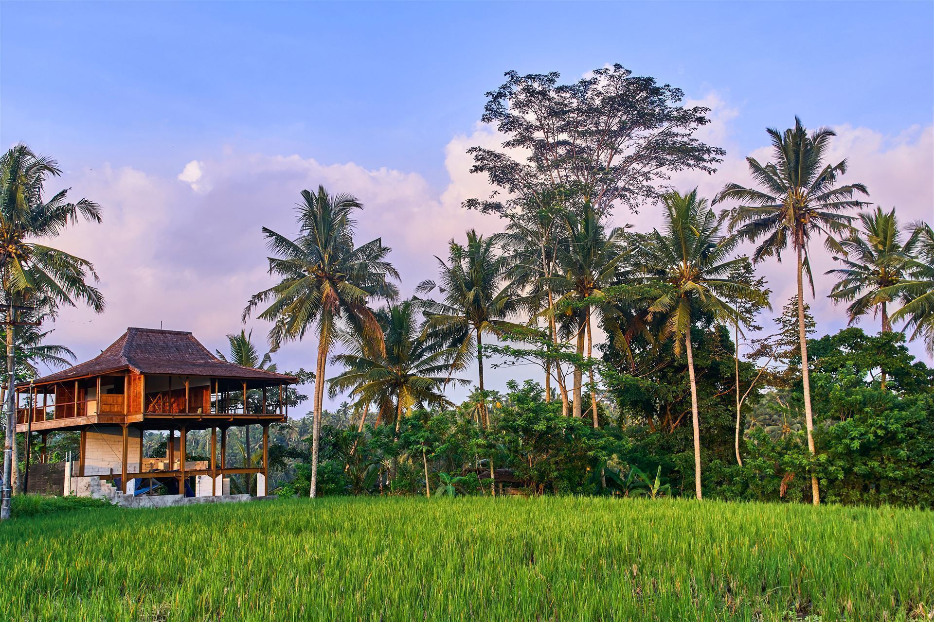 Impressionen Bali