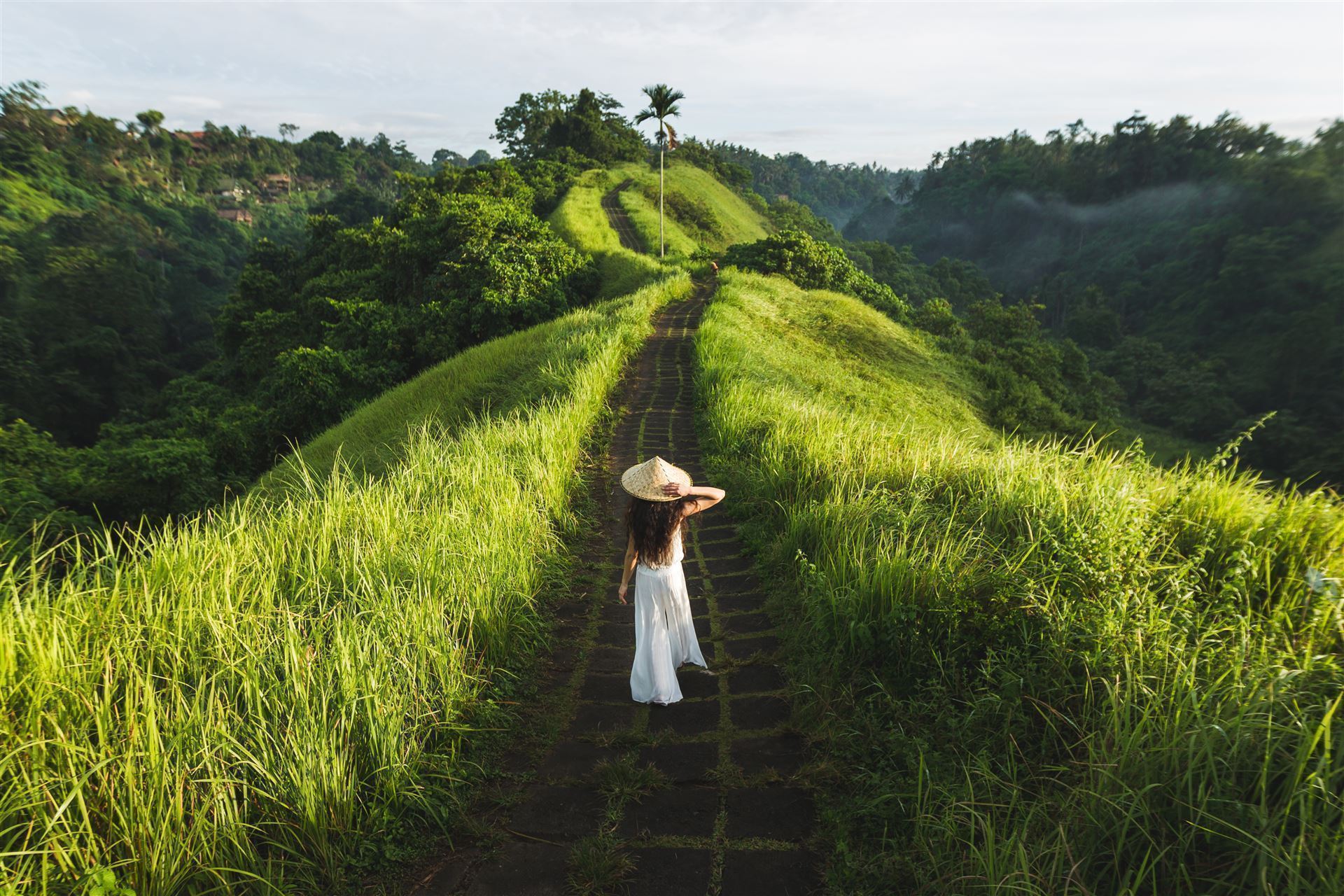 Campuhan Ridge Wandergebiet Ubud