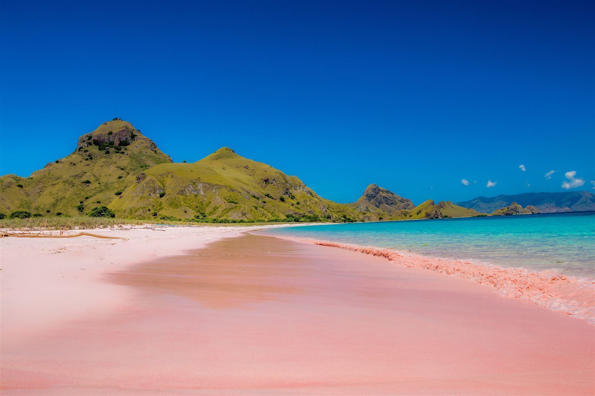 Pinker Strand im Komodo Nationalpark