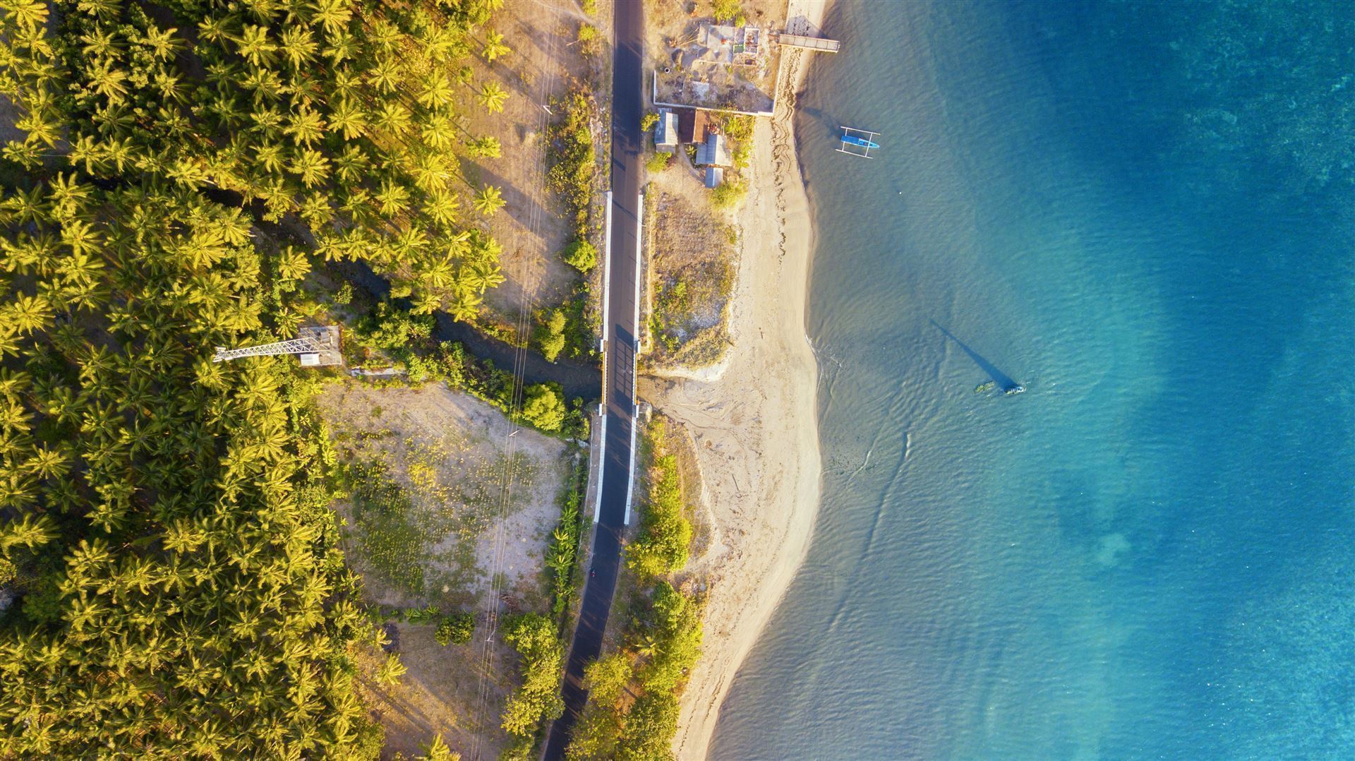 Wunderschöne Küste mit Palmen auf Lombok