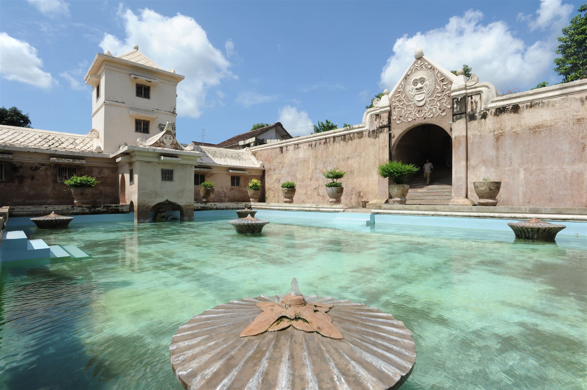 Tamari Sari