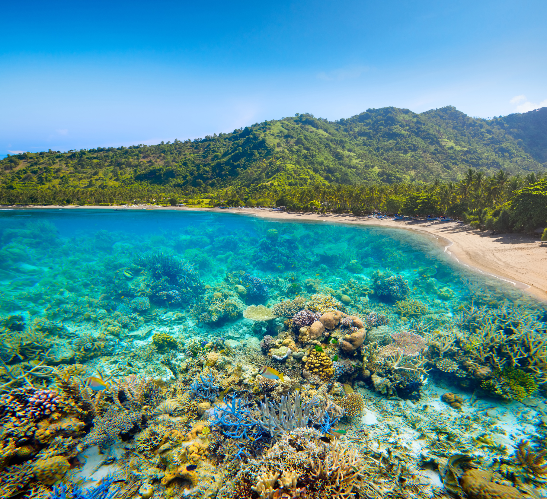 Insel Lombok Unterwasserwelt
