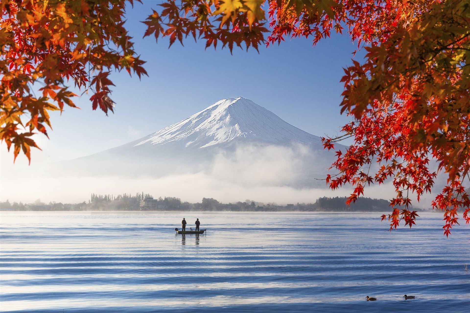 Fuji - Herbstfärbung