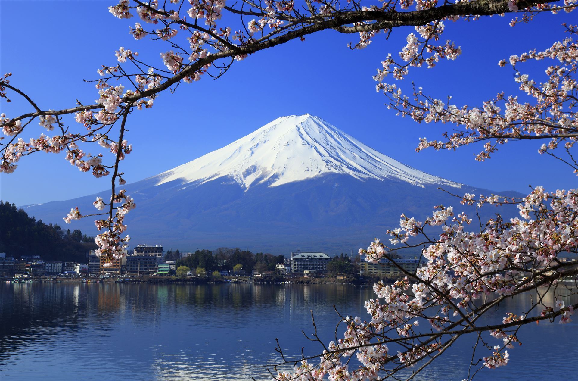 Fuji