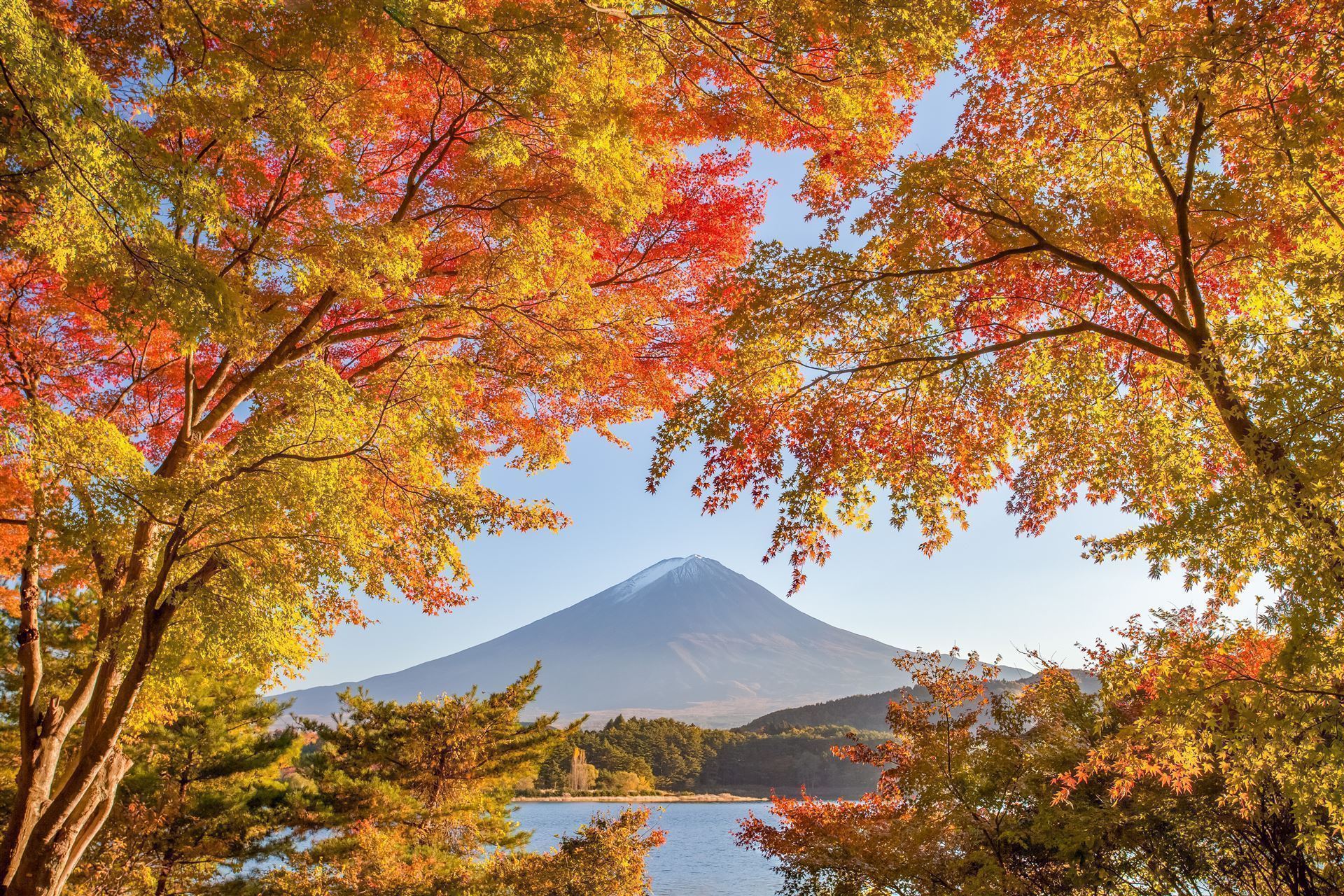 Herbstfärbung mit Fuji