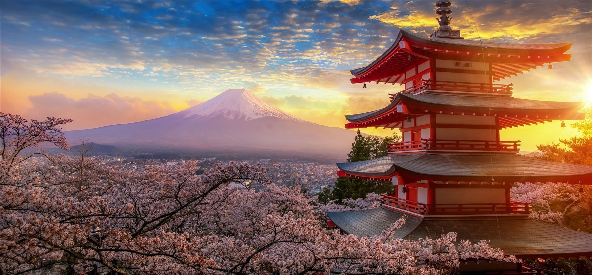 Fujisan im Frühling