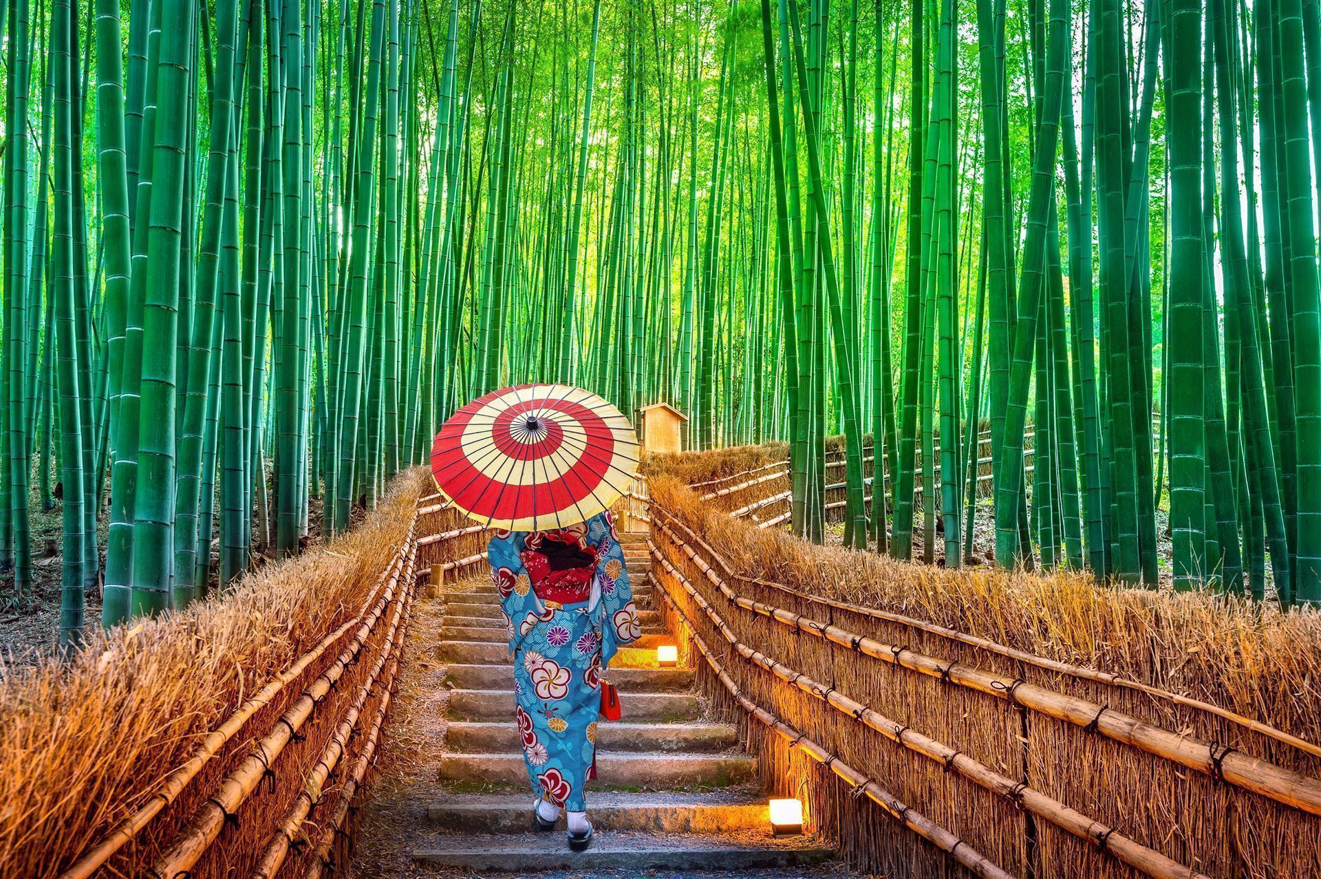 Frau mit Kimono im Bambuswald