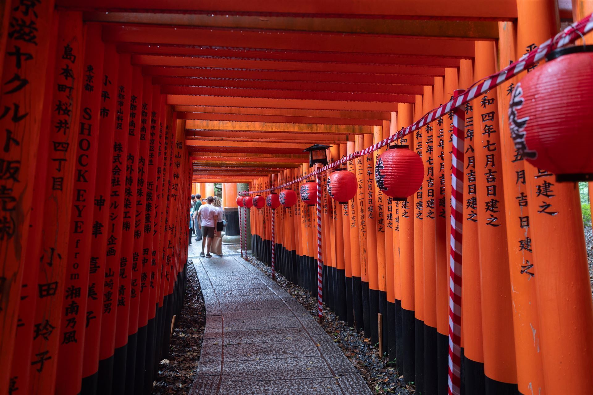 Fushimi Inari mit Lampions