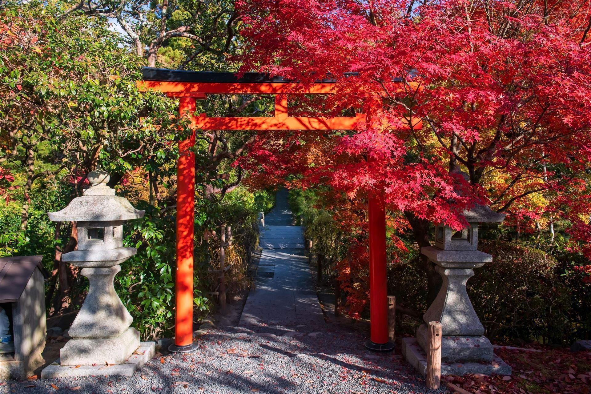 Torii im Ryoanji