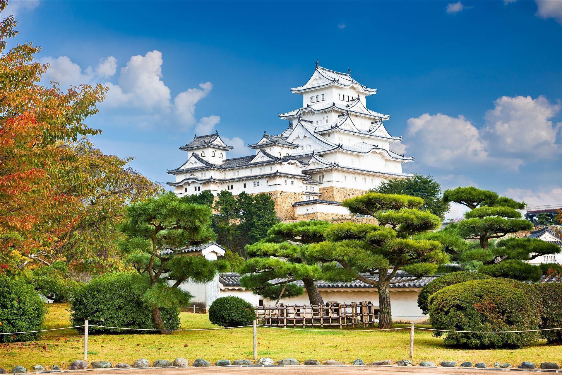 Himeji Castle mit Kiefern