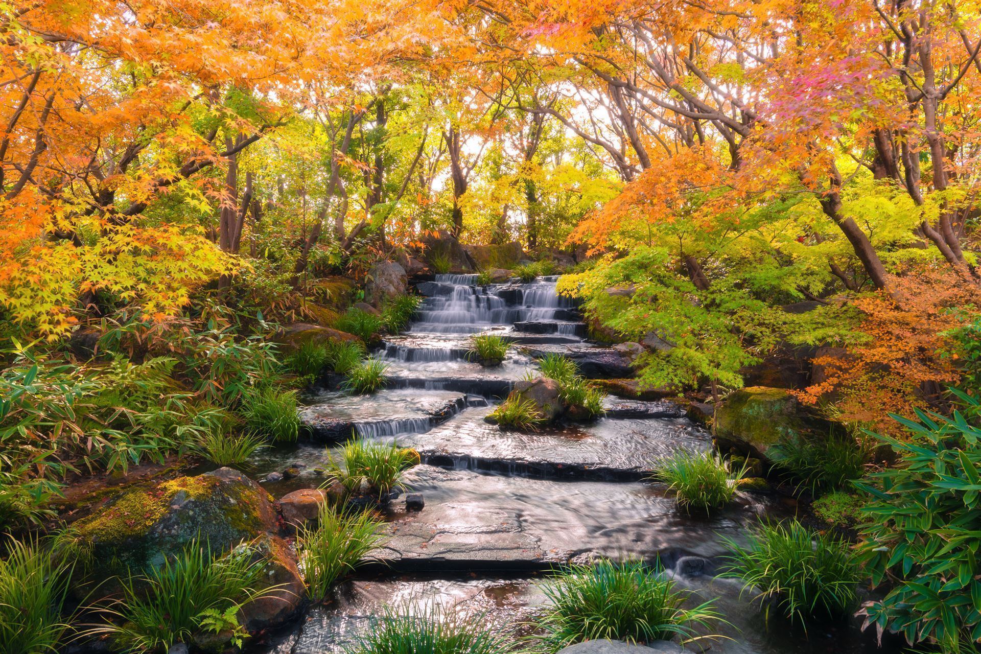 Wasserfall im Herbst