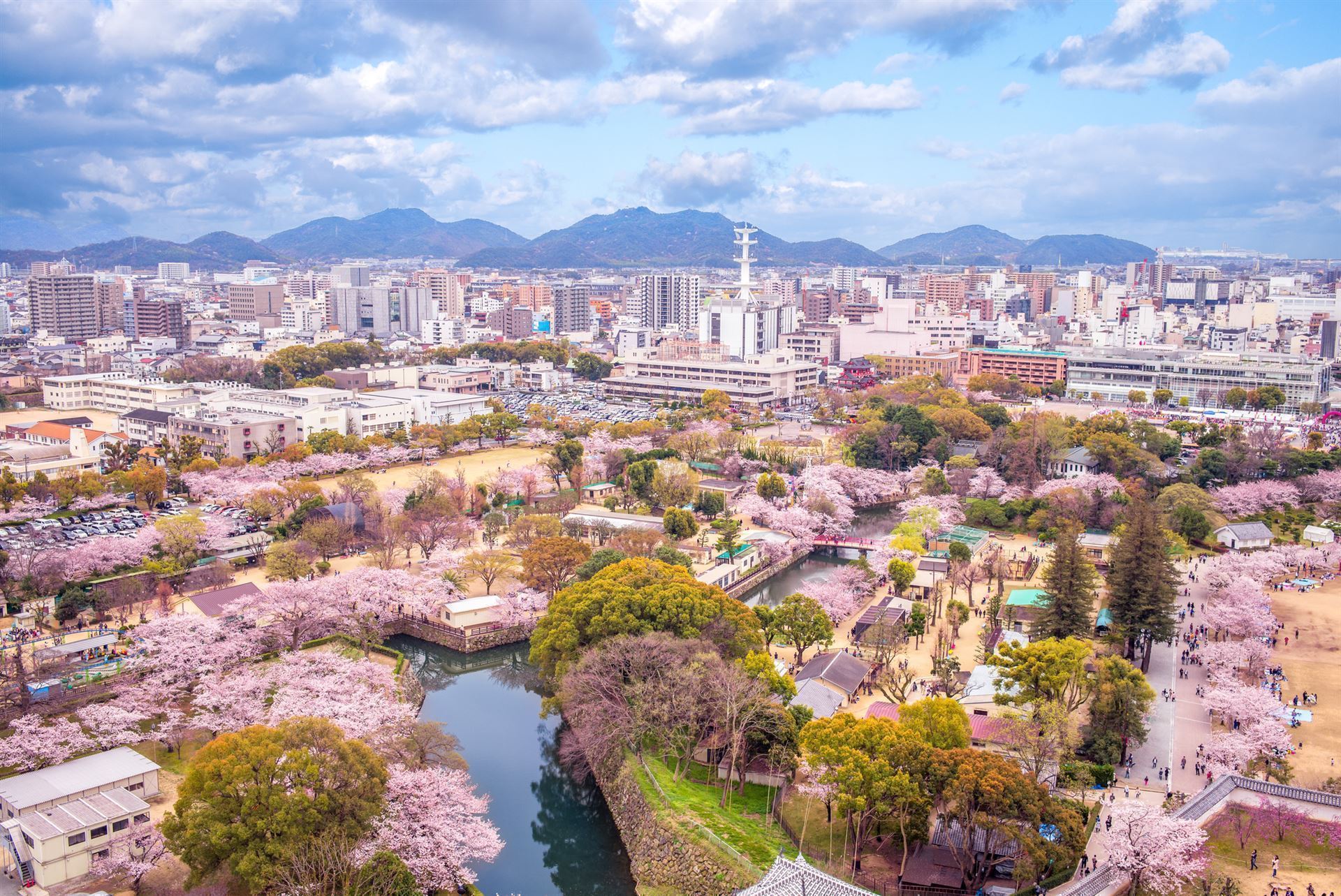 Himeji im Frühling