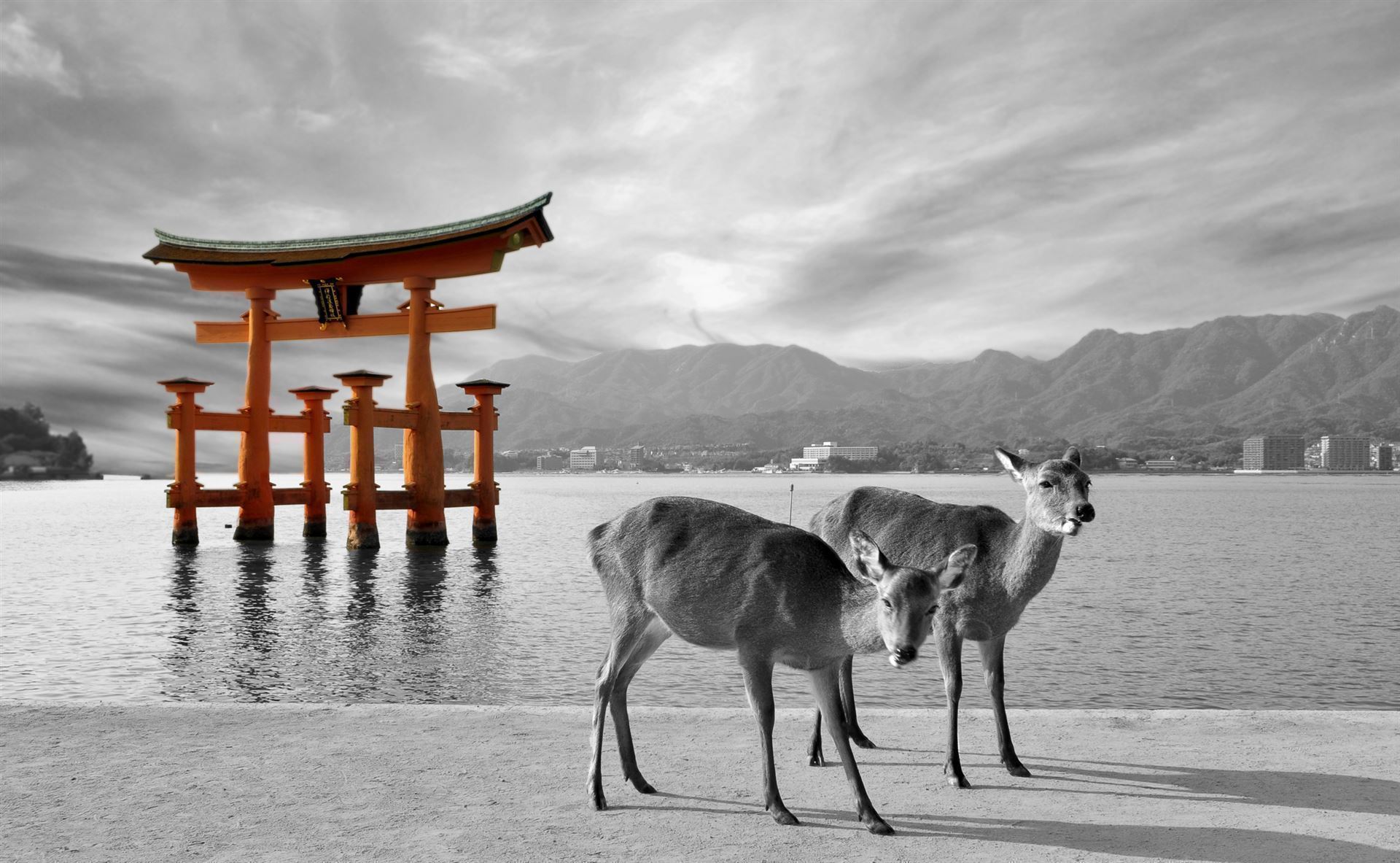 Torii Tor mit Rehen