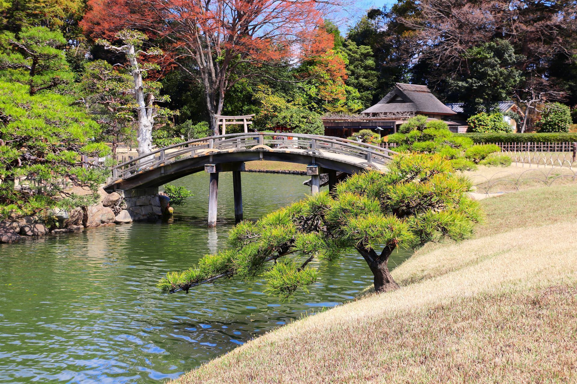 Korakuen Garten mit Brücke