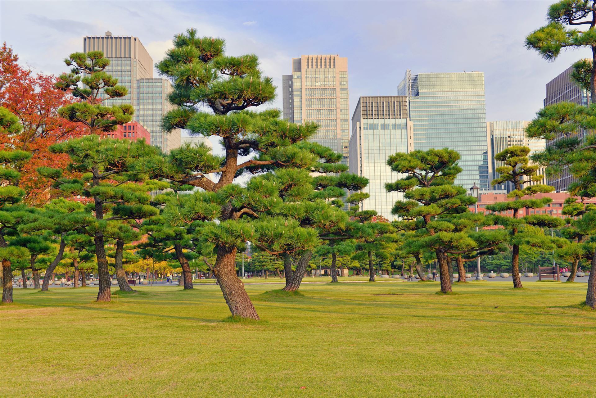 Imperial Palace mit Kiefern