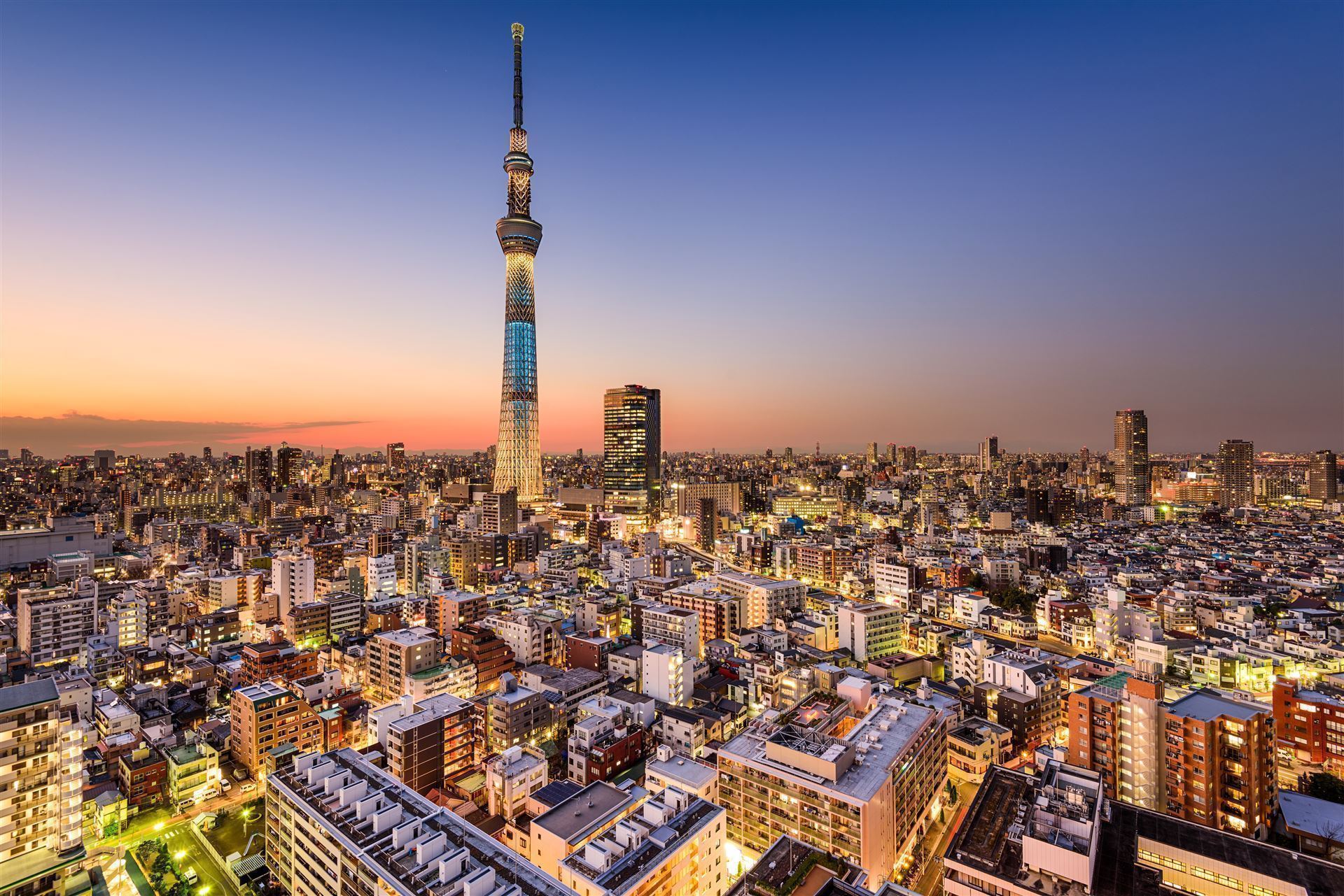 Sky Tree am Abend