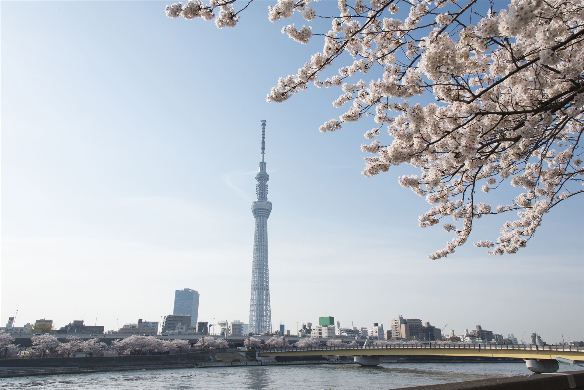 Sky Tree Tower