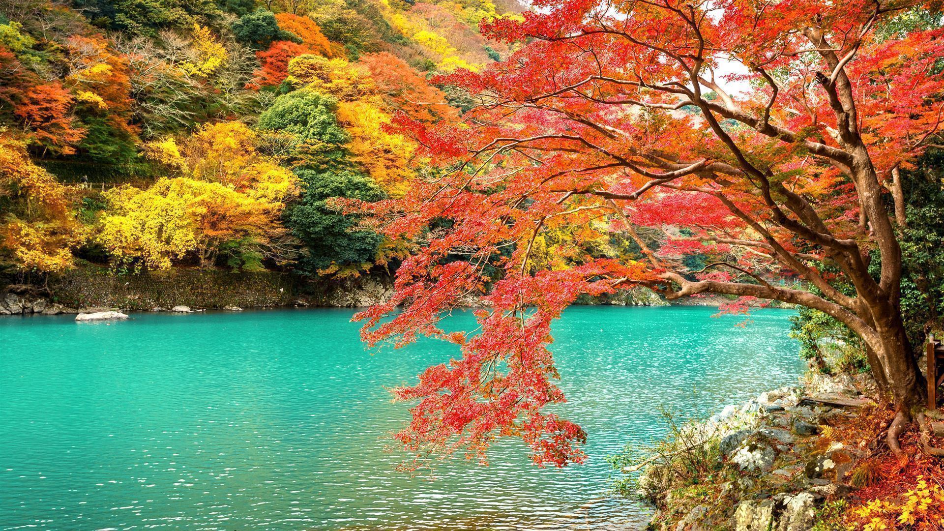Am Fluss im Herbst im Stadtteil Arashiyama