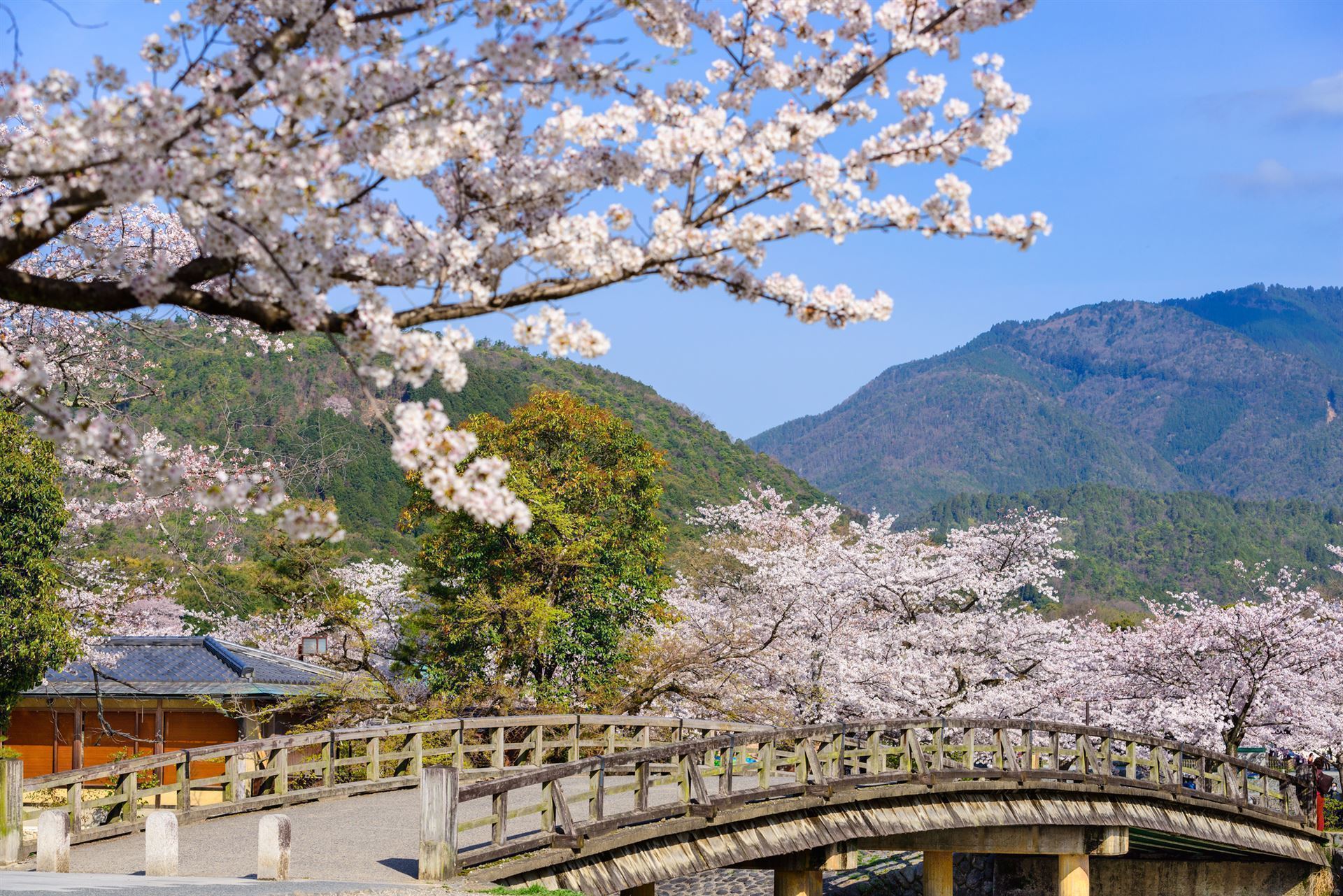 Stadtteil Arashiyama im Frühling