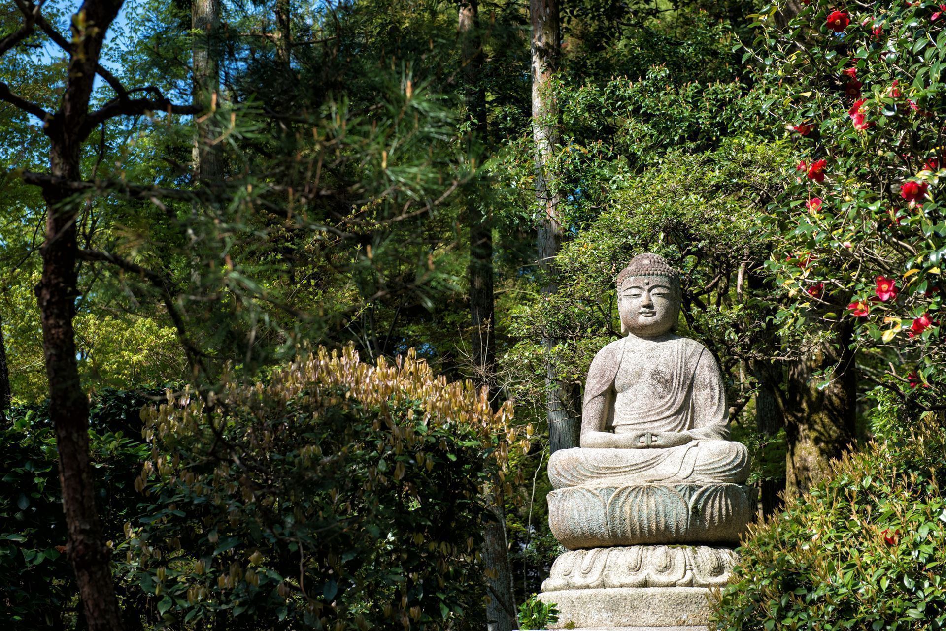 Ryoanji Tempel mit Buddha