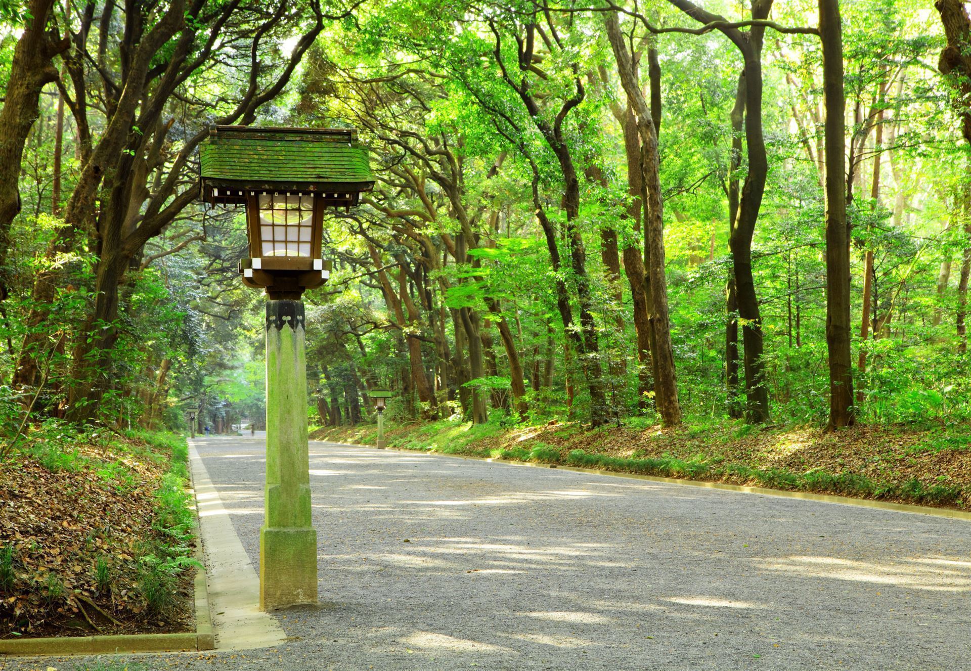 Japanischer Garten