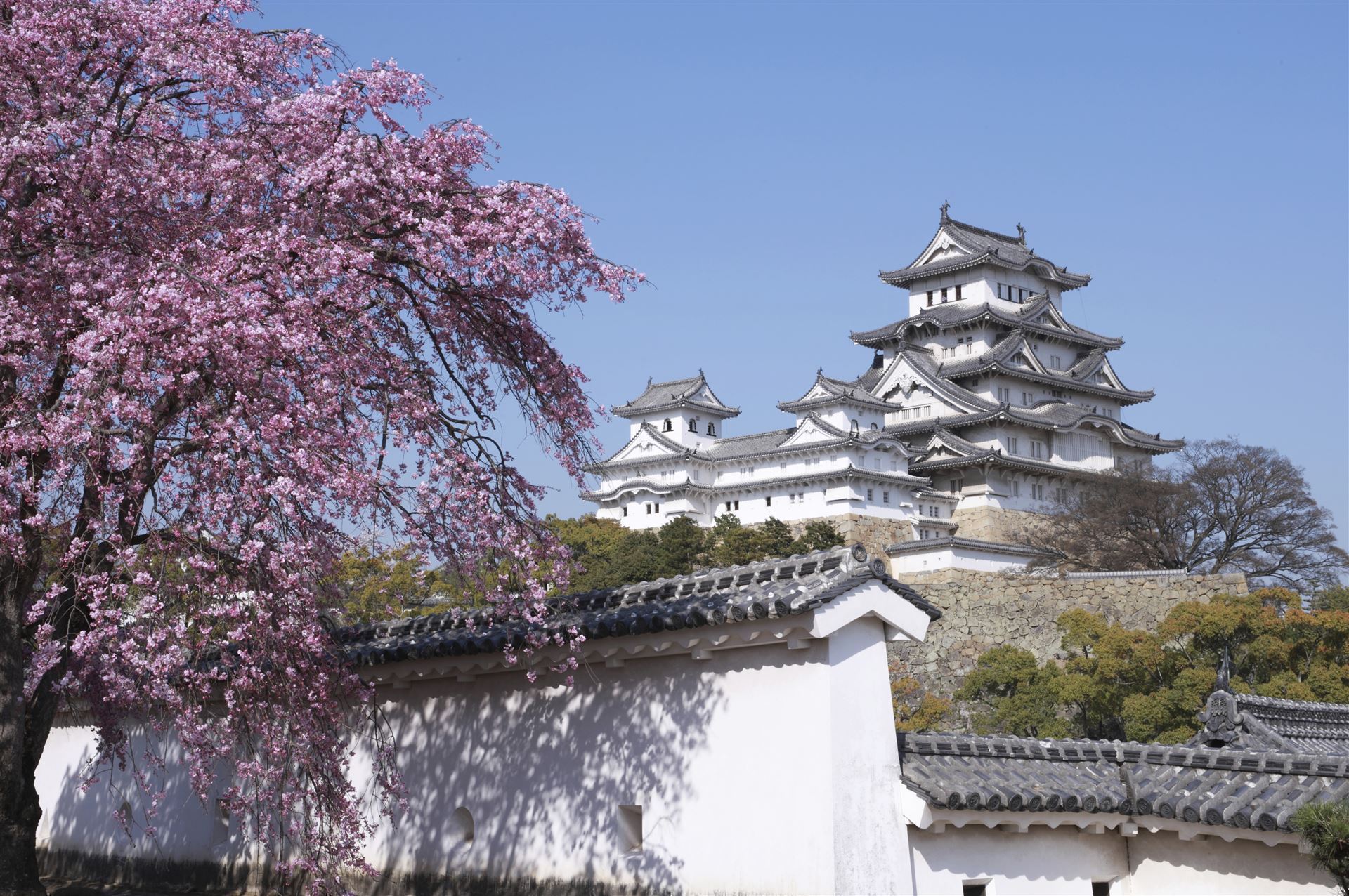 Himeji Burg
