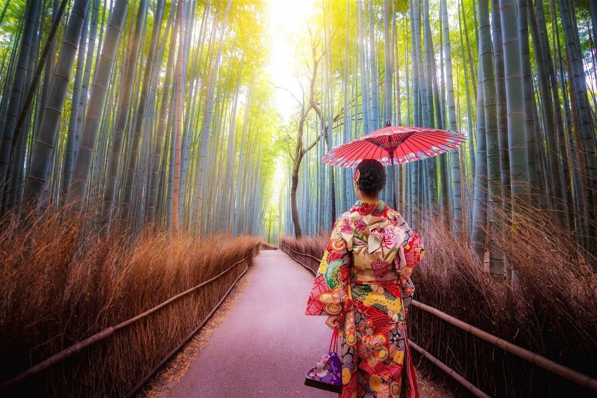 Rundreisen.de - Japan - Bambuswald