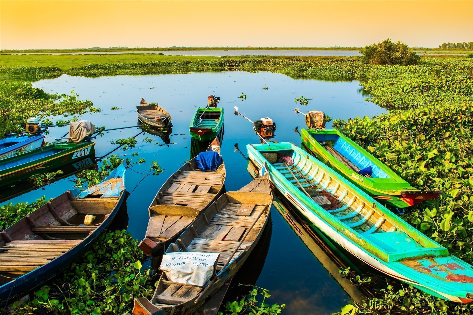 Tonle Sap mit Lotusfarm