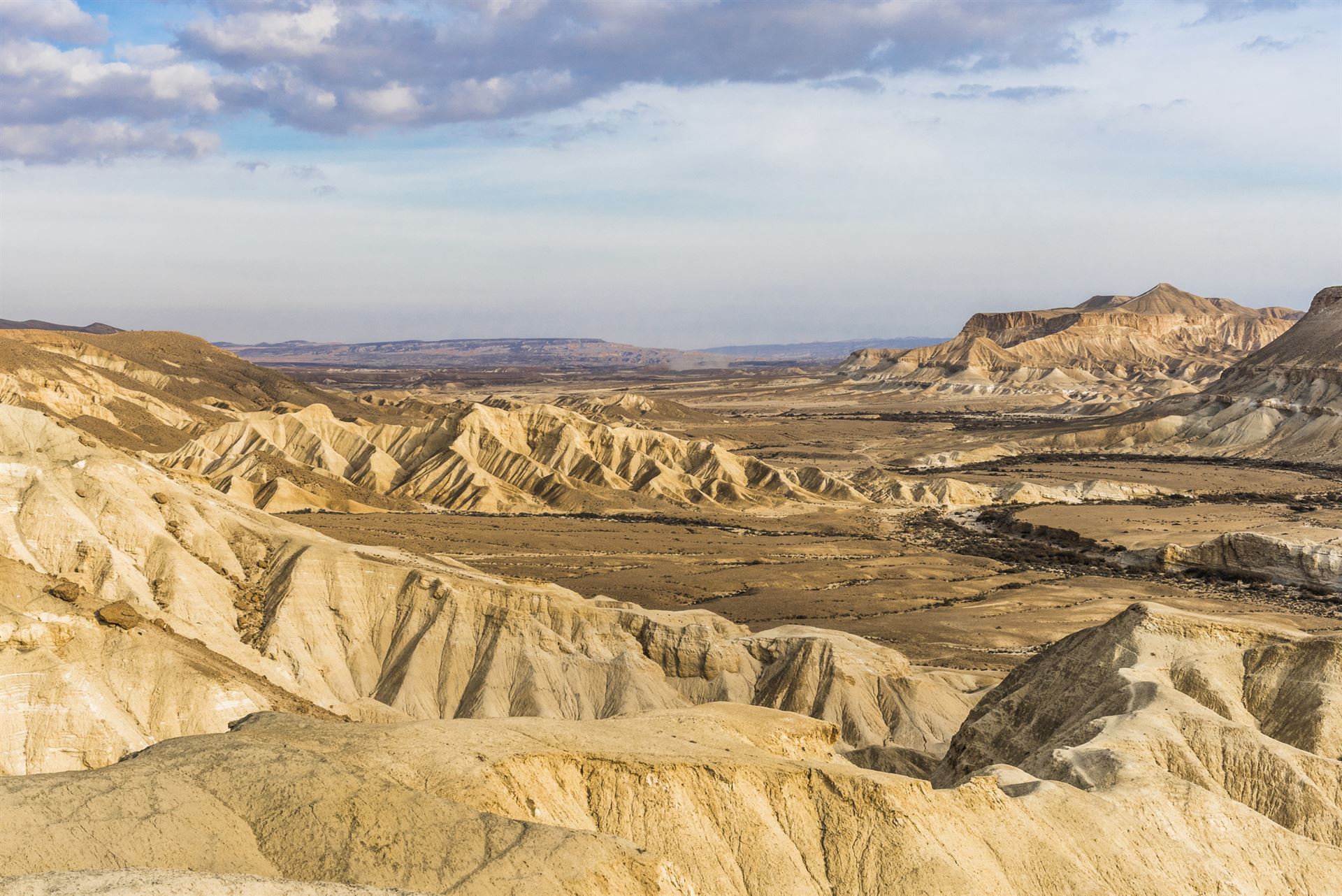 Landschaft der Negev Wüste