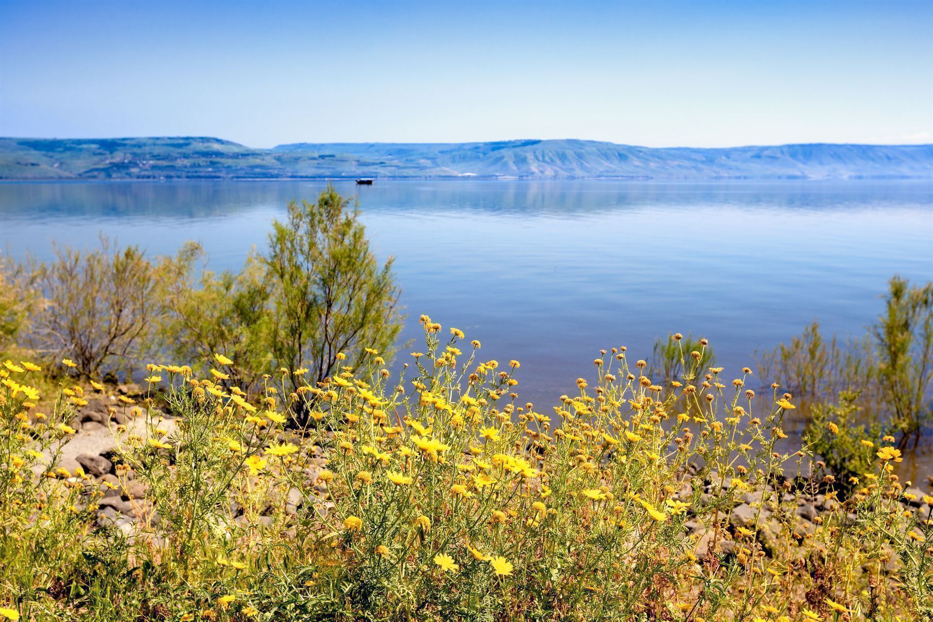 Blick auf den Genezareth See