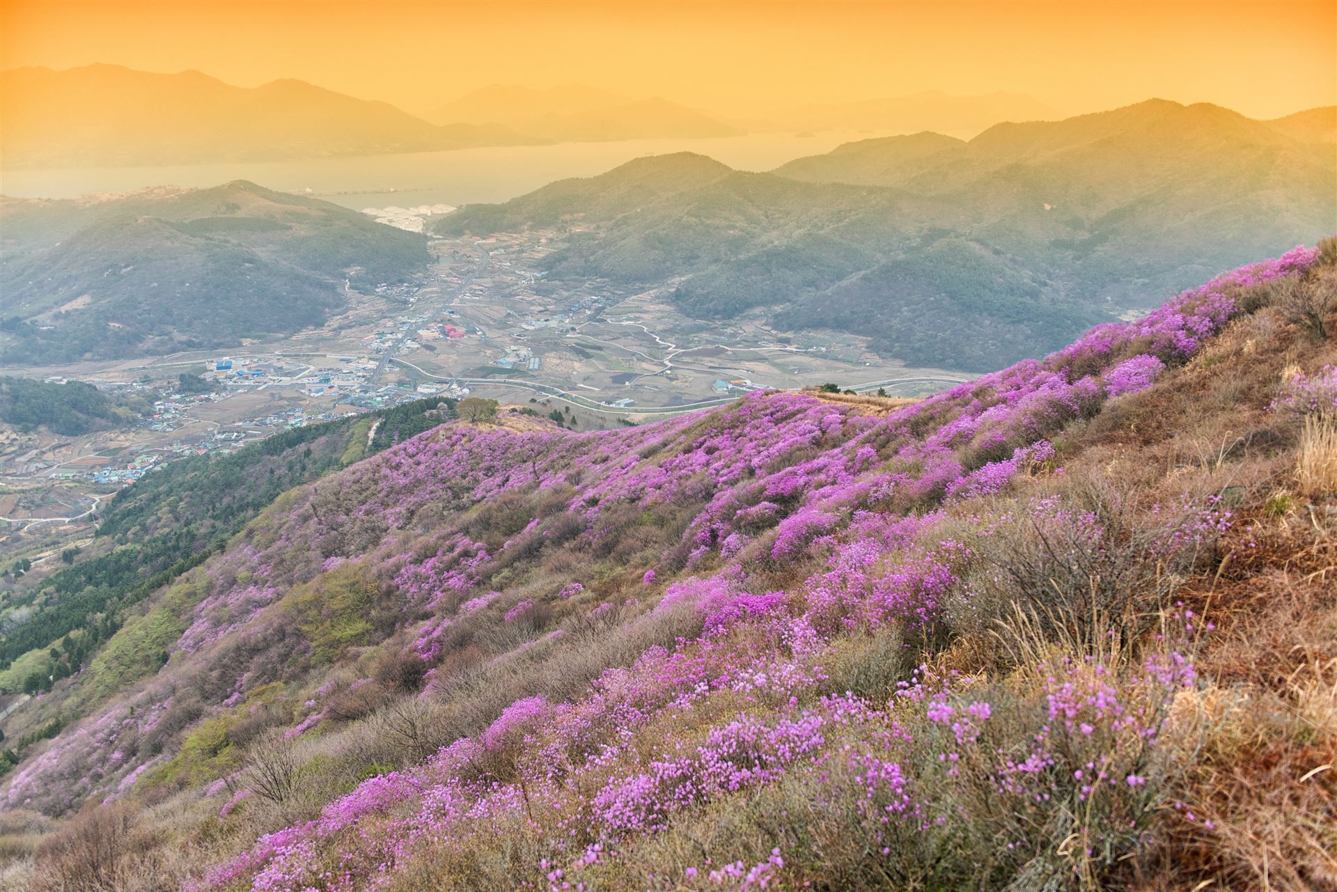 Landschaft um Yeosu, Südkorea