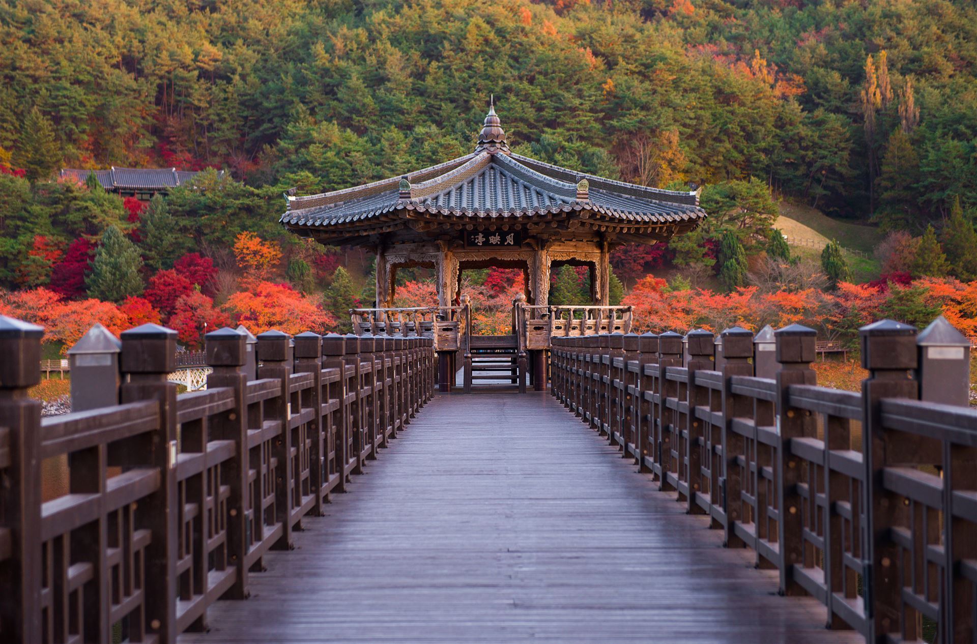 Wolyeonggyo Fußgängerbrücke