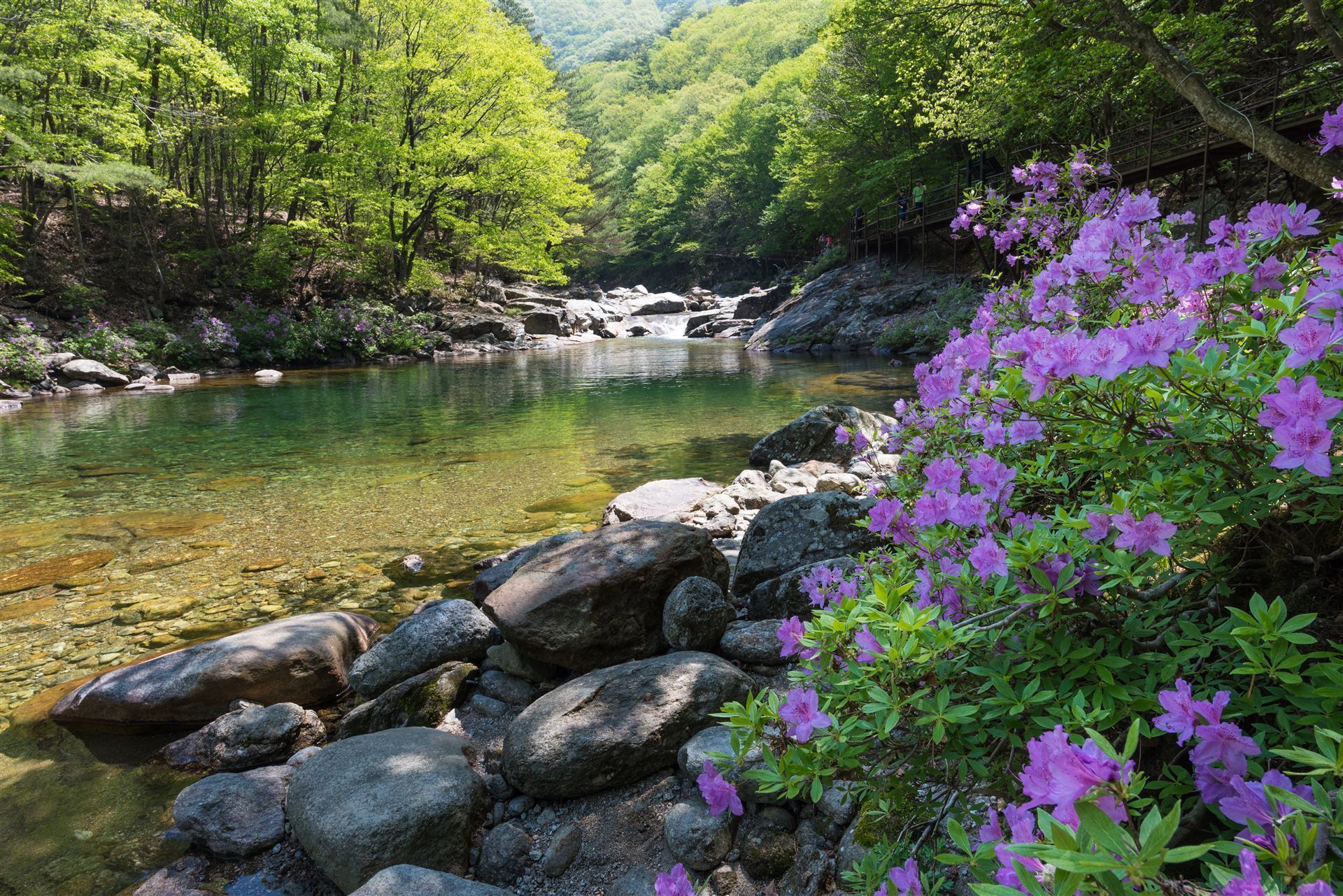Landschaft im Jirisan Nationalpark