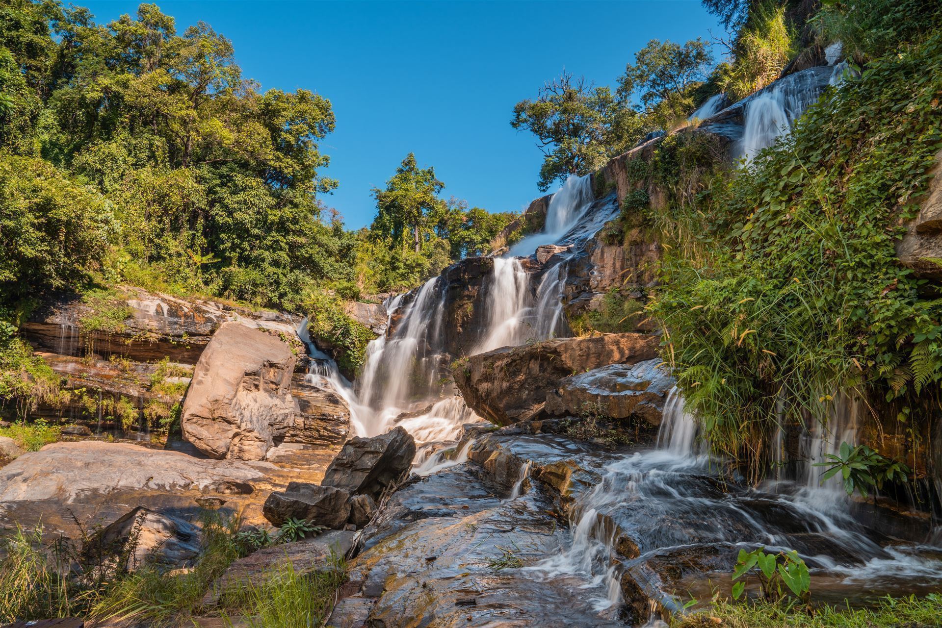 Bolaven Plateau