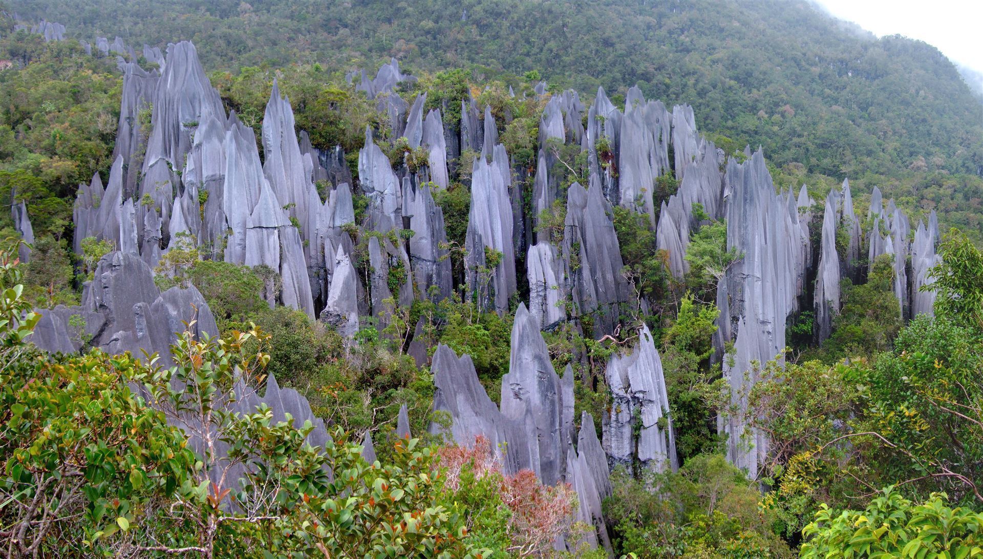 Gunung Mulu Nationalpark