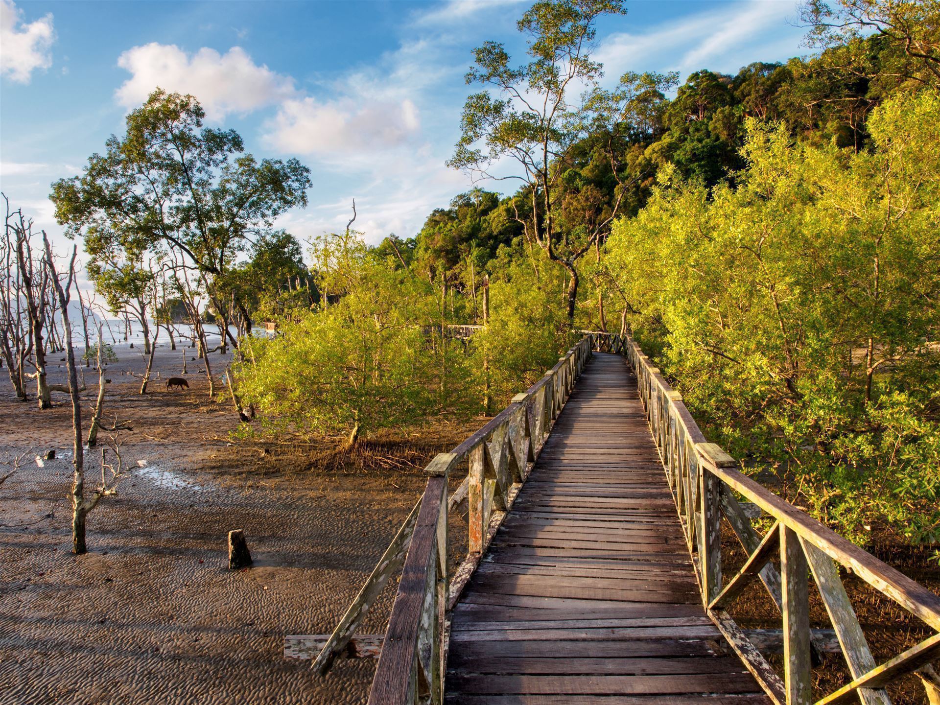 Bako Nationalpark
