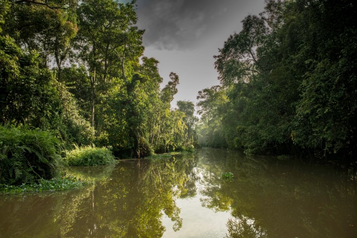 Kinabatangan