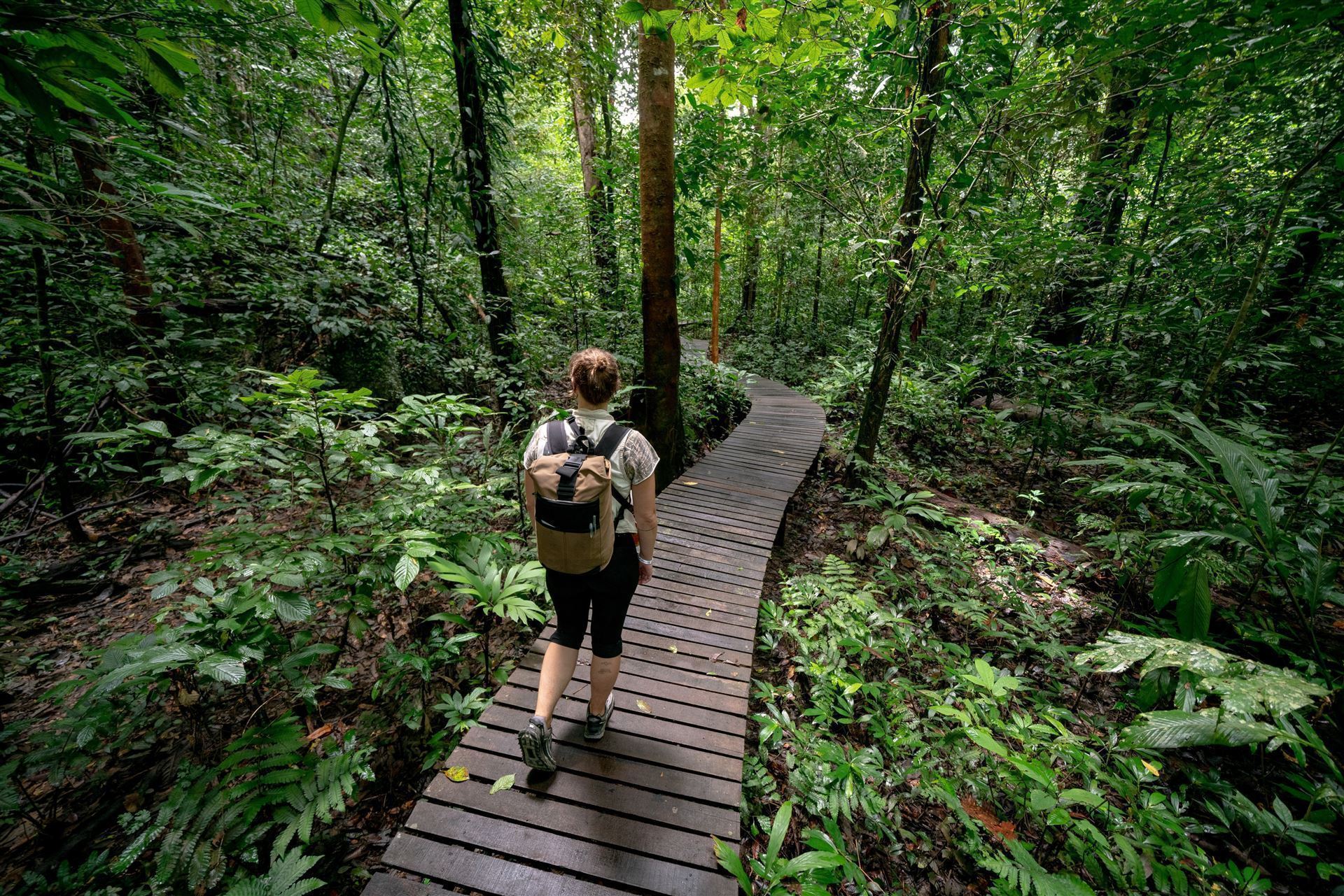 Wanderin geht durch den Wald